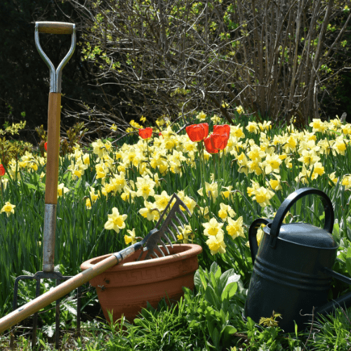 Lawn & Garden