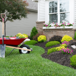 Landscaping & Outdoor Enhancements